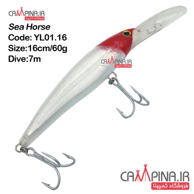 sea-horse-trolling-yl01 16-1