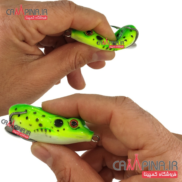 frog-fishing-5pic2-24